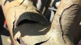 Управление рисками при использовании лакокрасочных покрытий