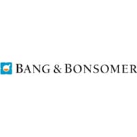 Bang & Bonsomer